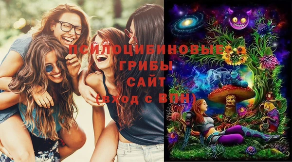 прущая мука Абинск